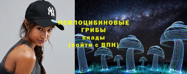 ECSTASY Покачи