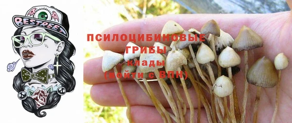 бутират Покров