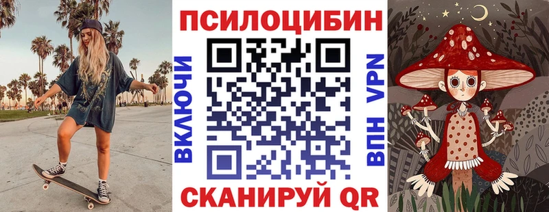 Псилоцибиновые грибы мицелий Сальск
