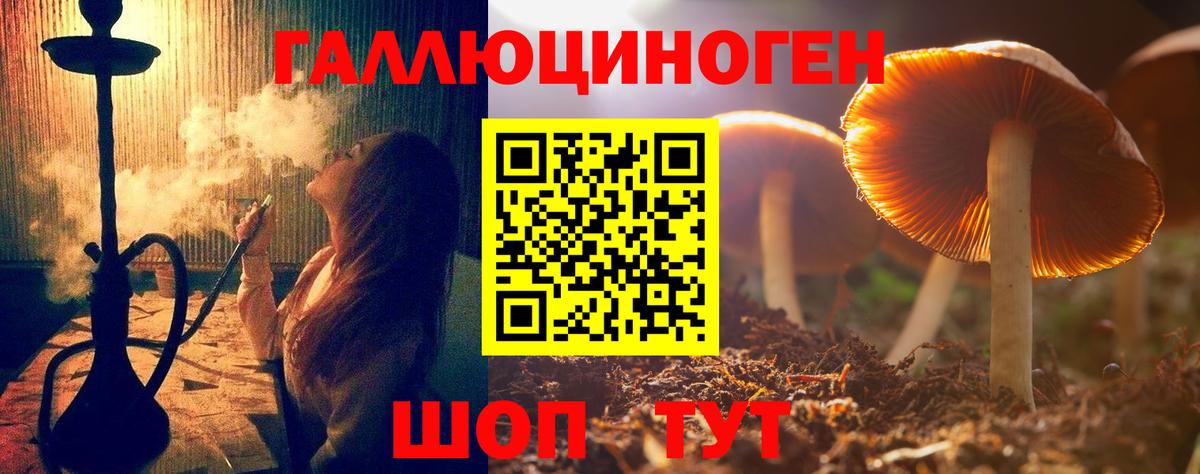 Псилоцибиновые грибы Psilocybe  Вход с VPN  Сальск 